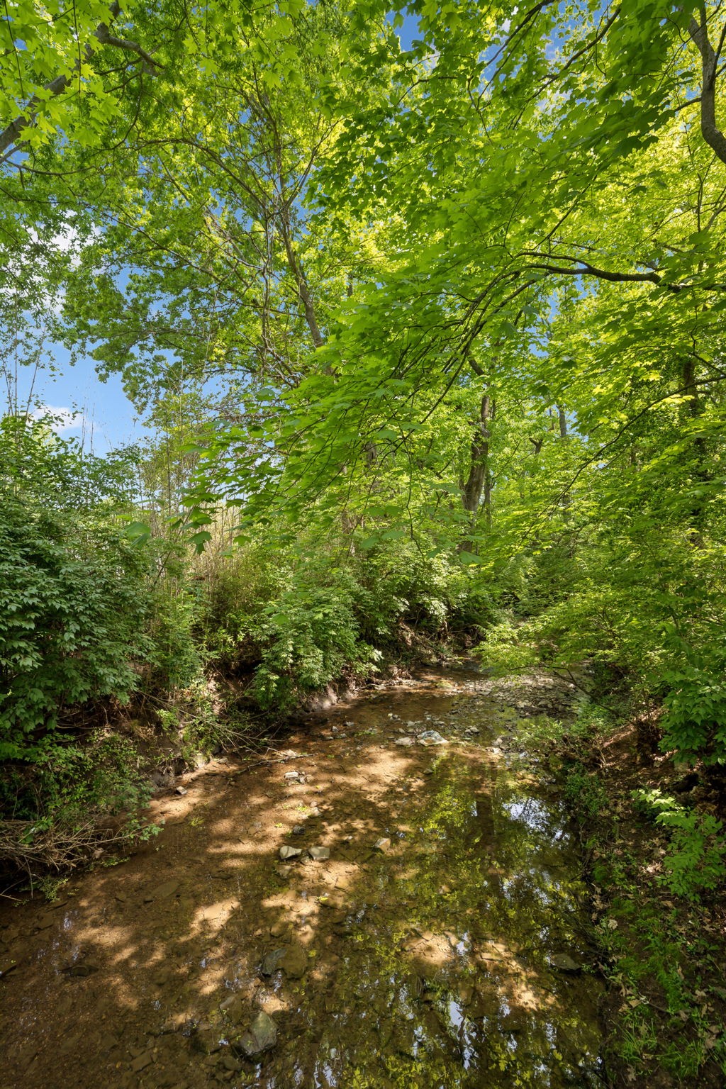1204 Warner Ct Property Photo 54