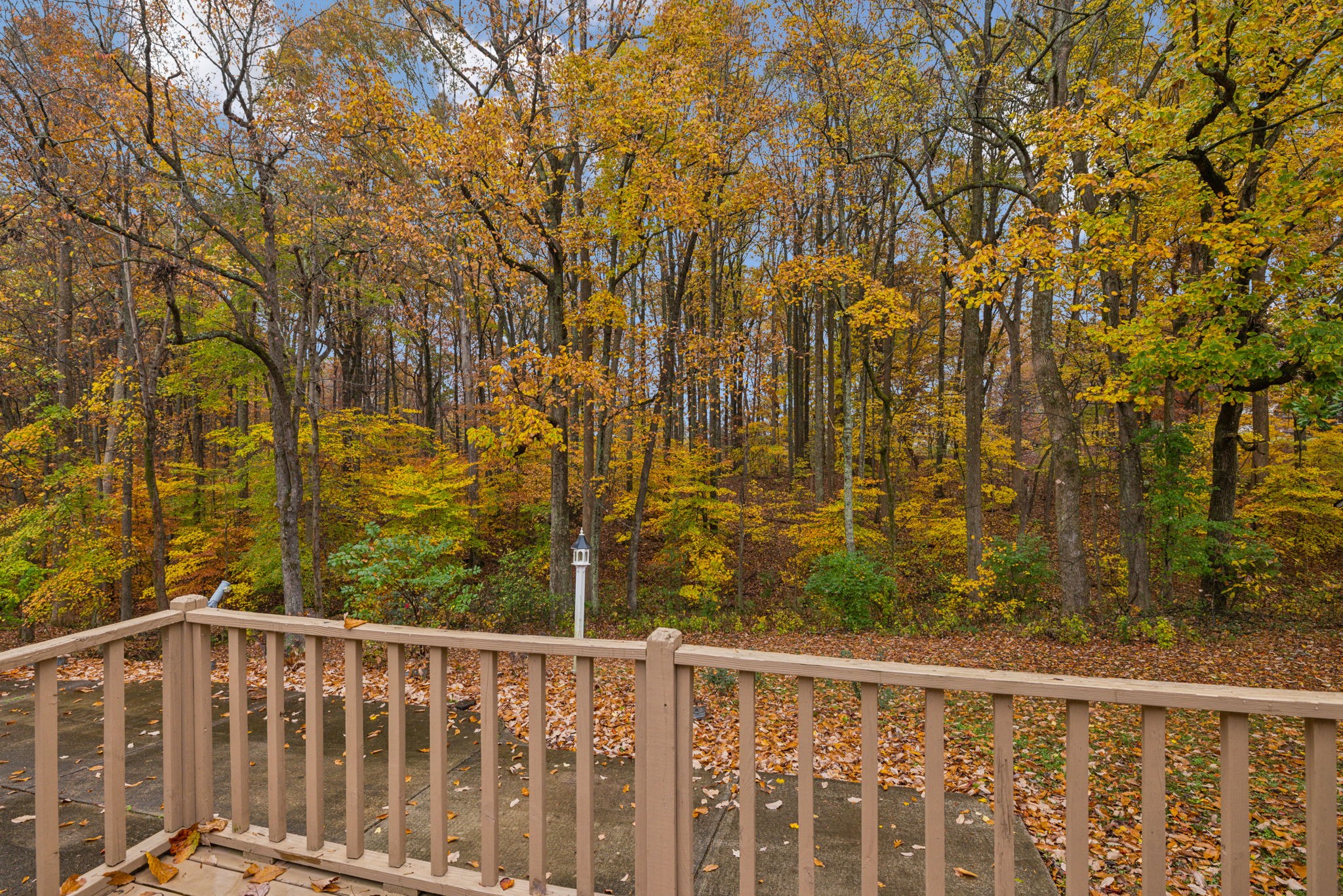 112 Knollwood Ct Property Photo 47