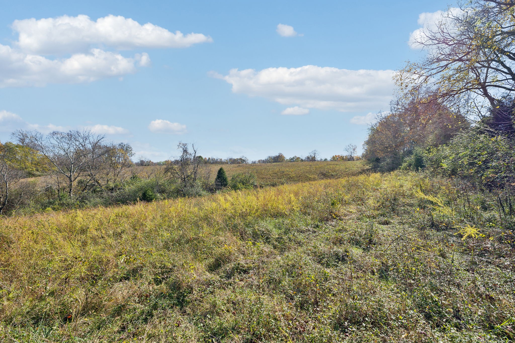0 Akin Ridge Property Photo 3