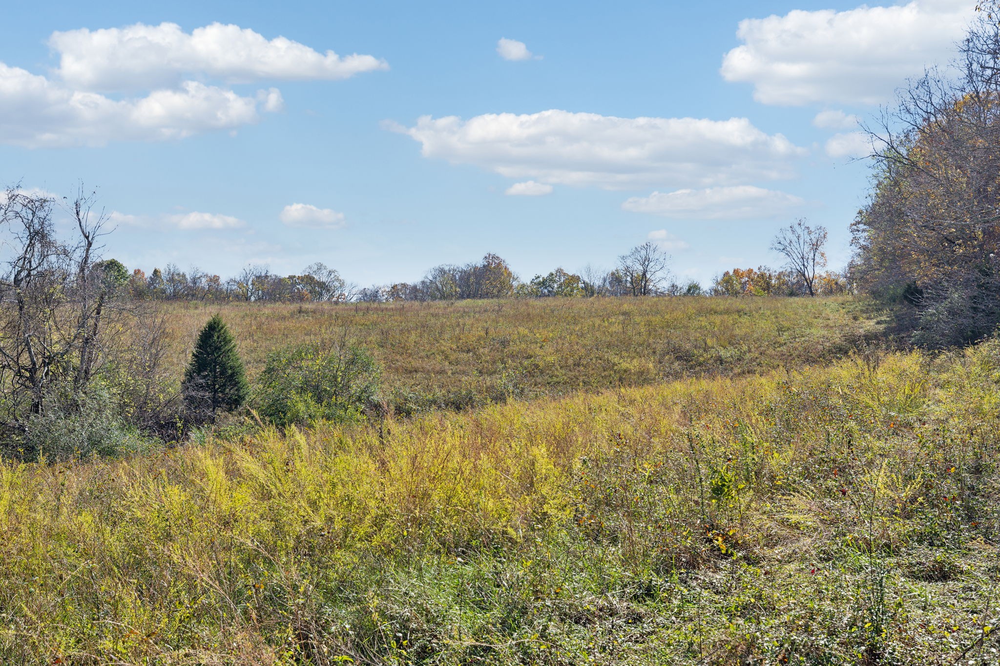 0 Akin Ridge Property Photo 4