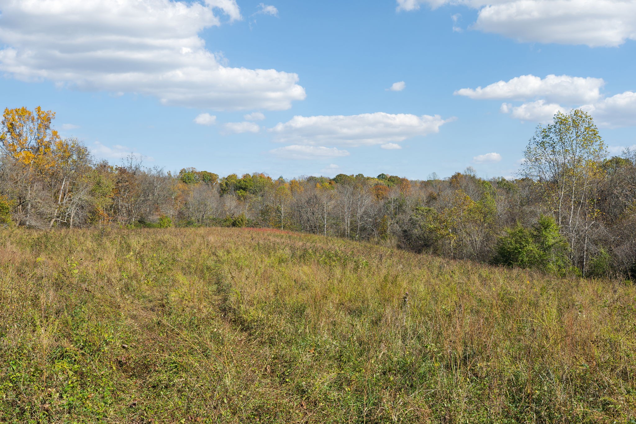 0 Akin Ridge Property Photo 5