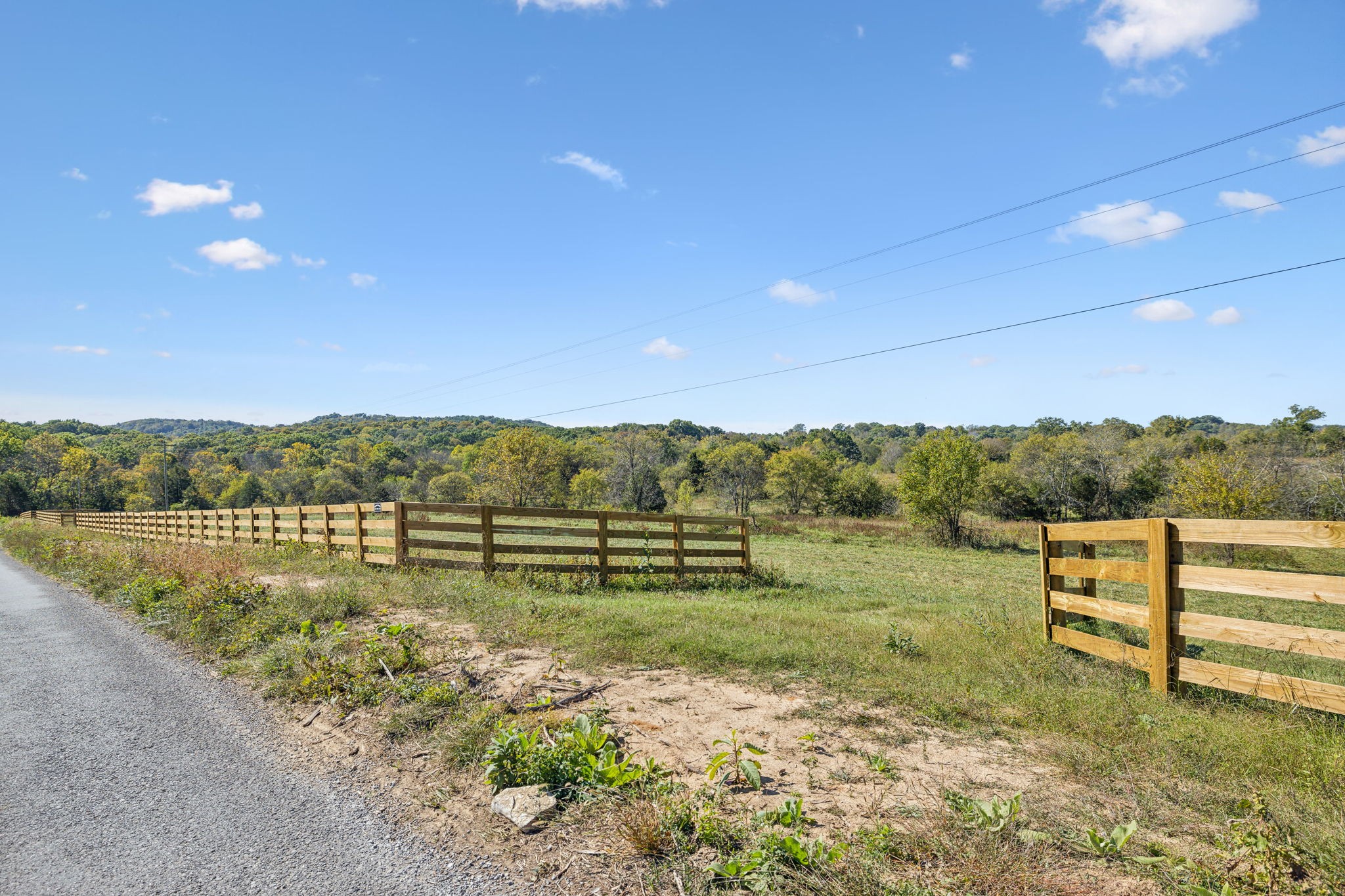 11b Double Branch Property Photo 48