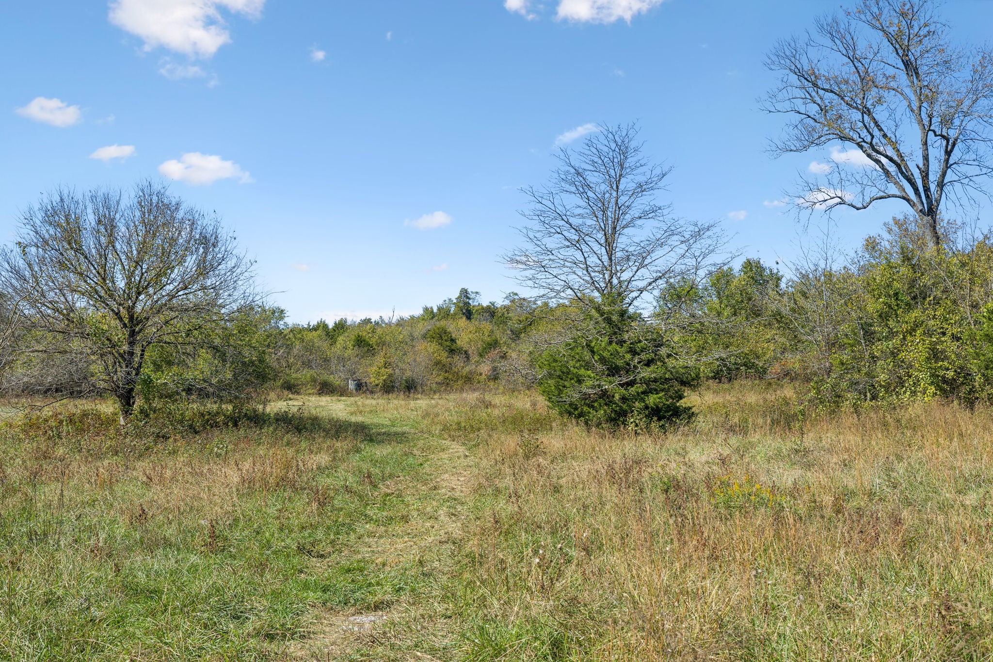 11b Double Branch Property Photo 49