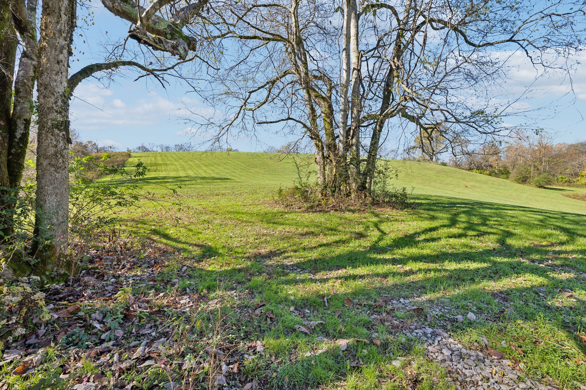 4a Akin Ridge Property Photo 3