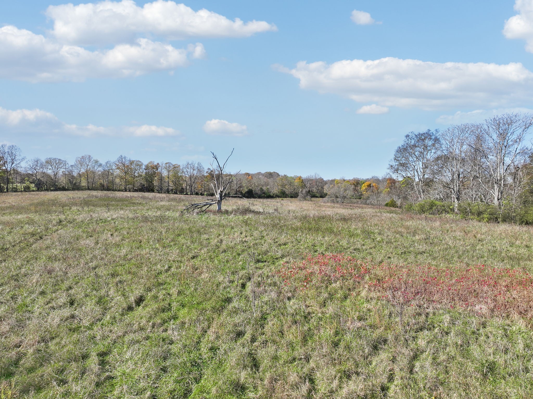 3a Akin Ridge Property Photo 5