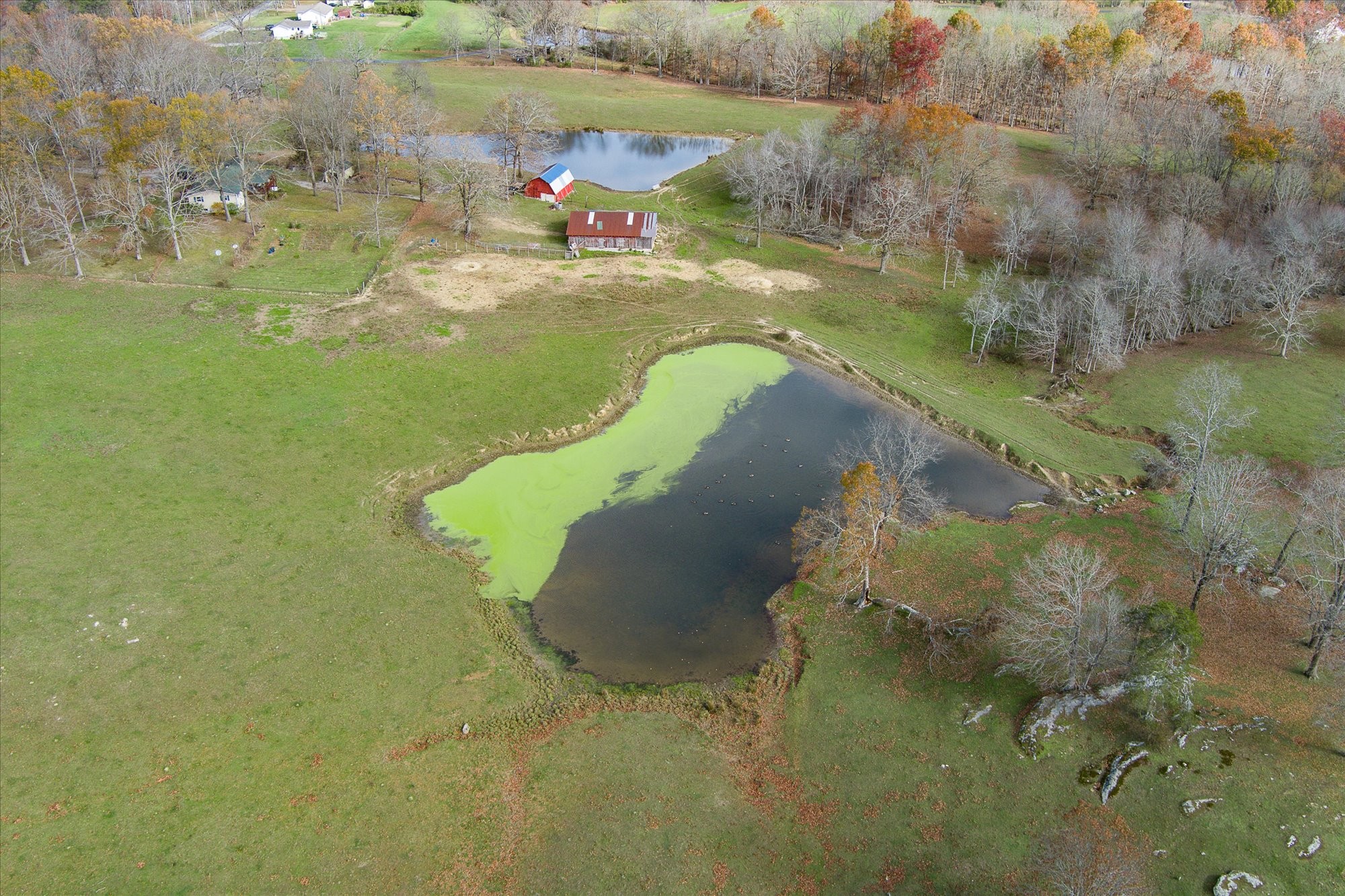 8423 Lantana Rd Property Photo 30