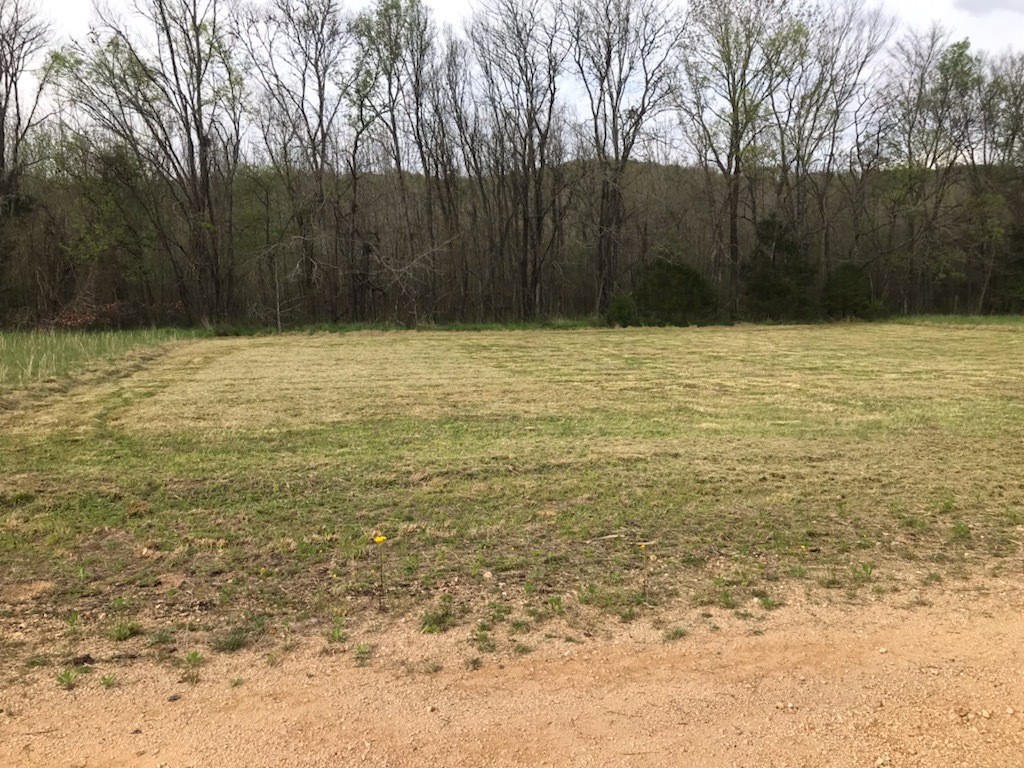 0 Eagles Bend Property Photo 1