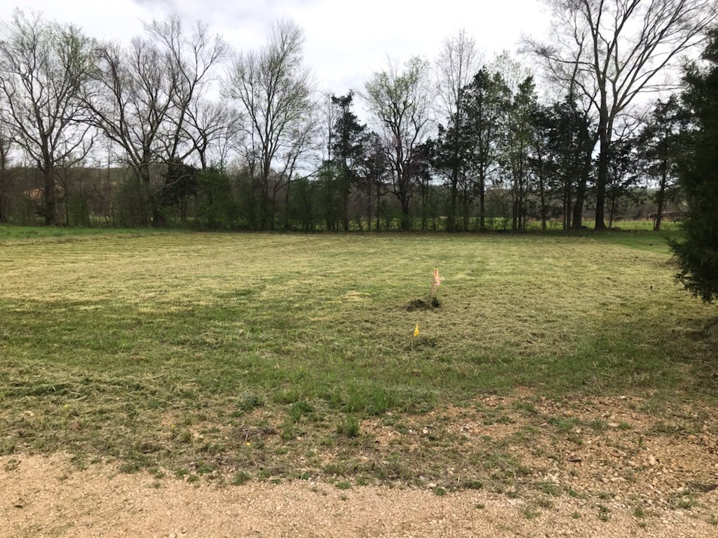 0 Eagles Bend Property Photo 2