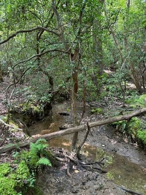 1 Eagle Rock Road Property Photo 5