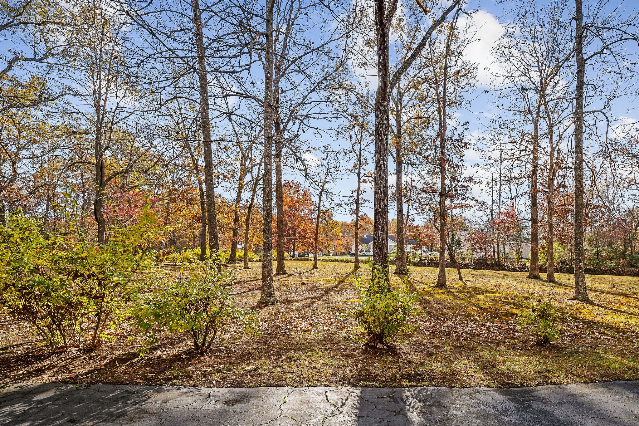 313 Big Rock Rd Property Photo 45