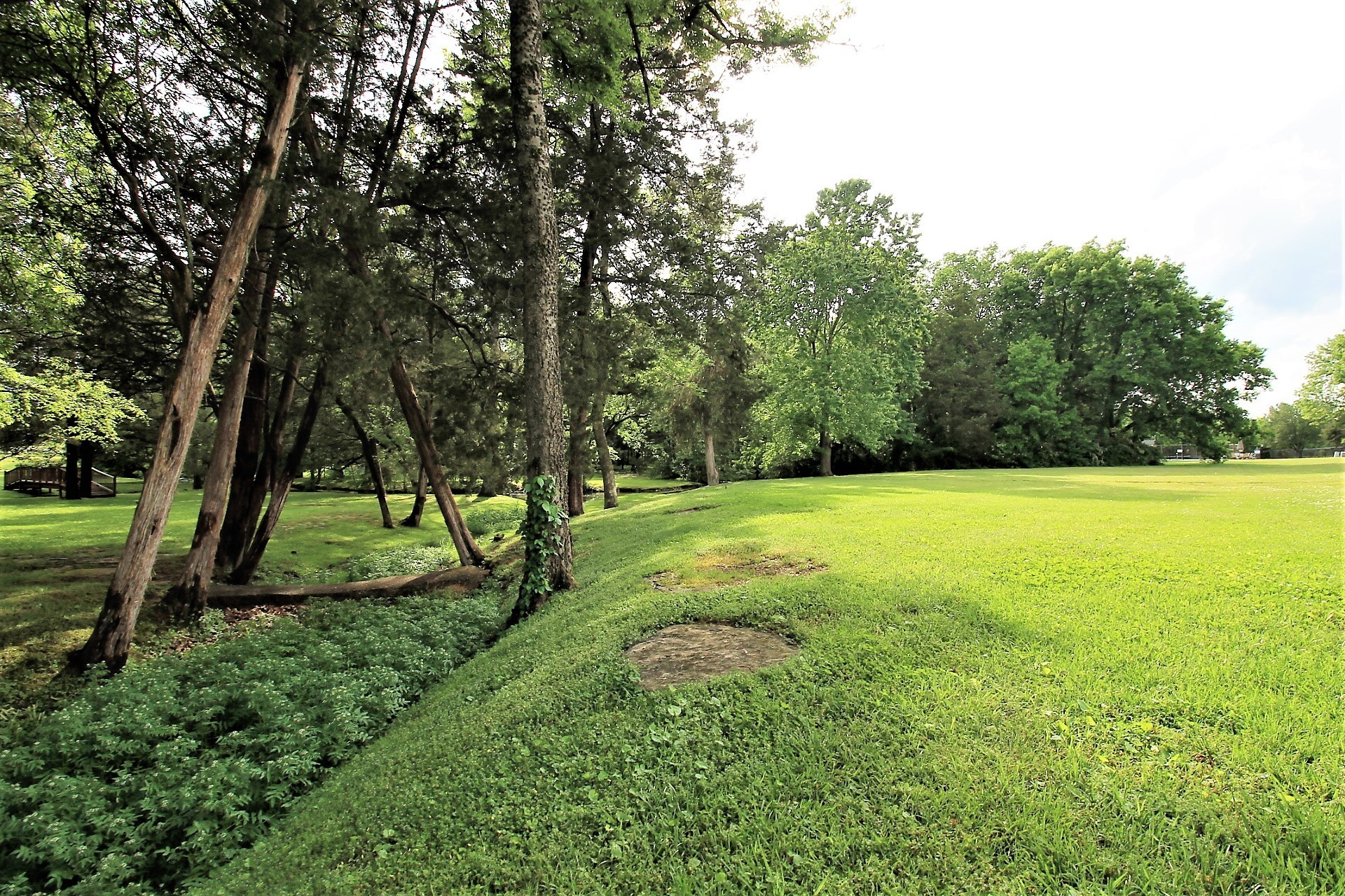 1406 Ottawa Pl Property Photo 40
