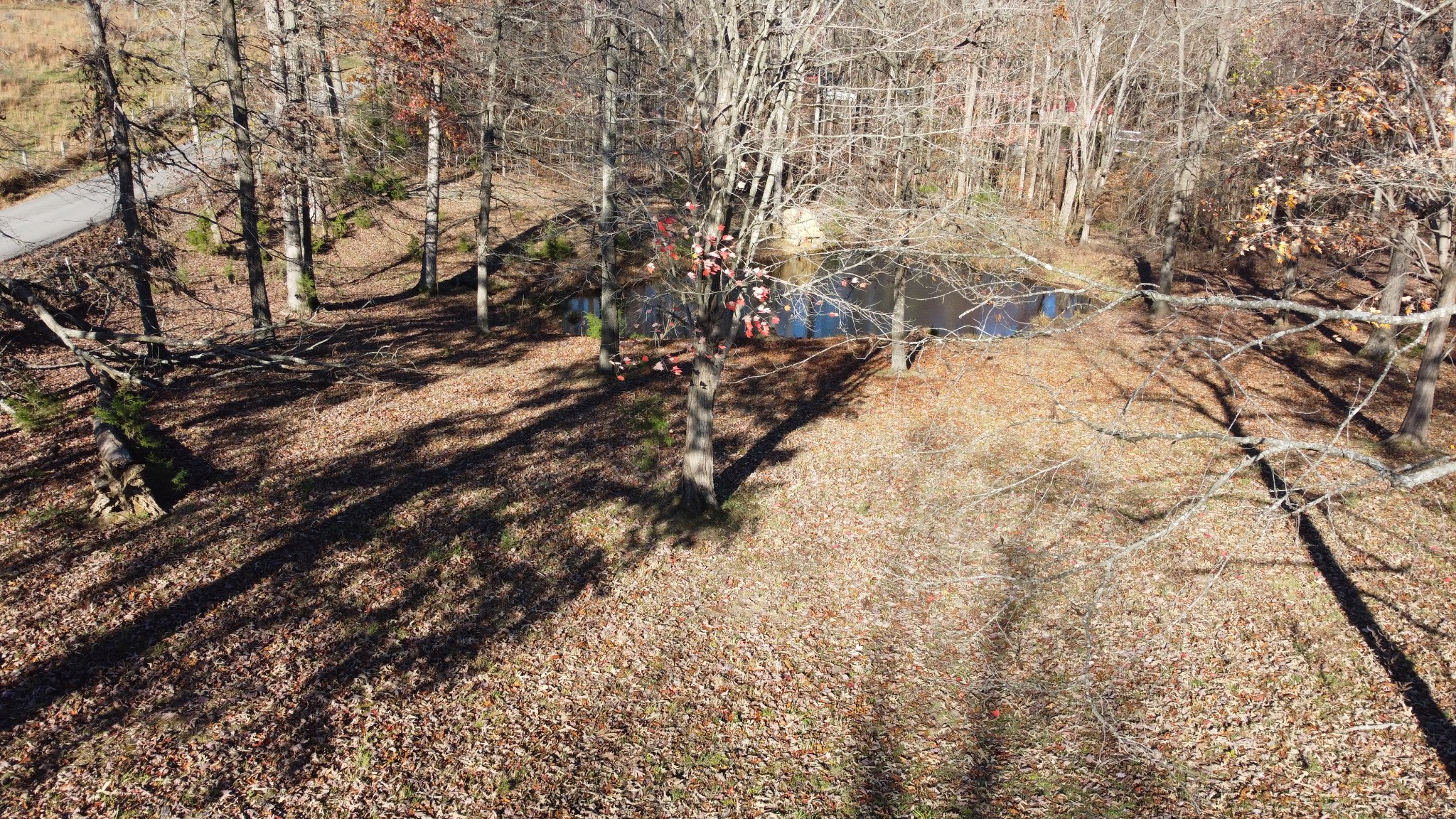104 B V Young Rd Property Photo 27