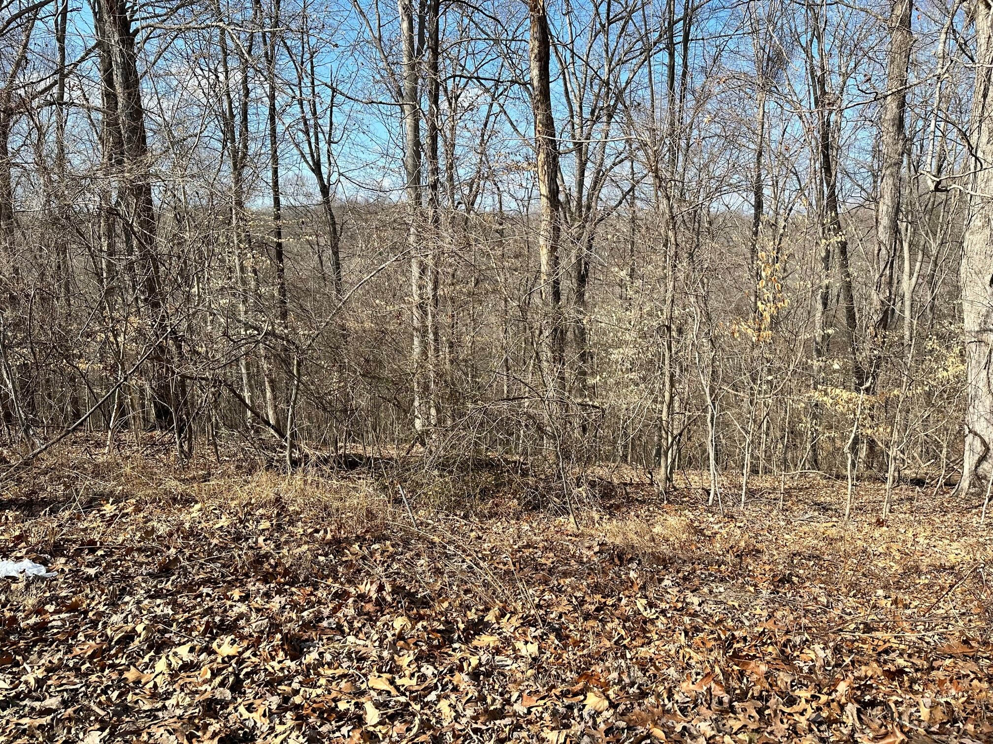 0 Woodland Dr Property Photo 3