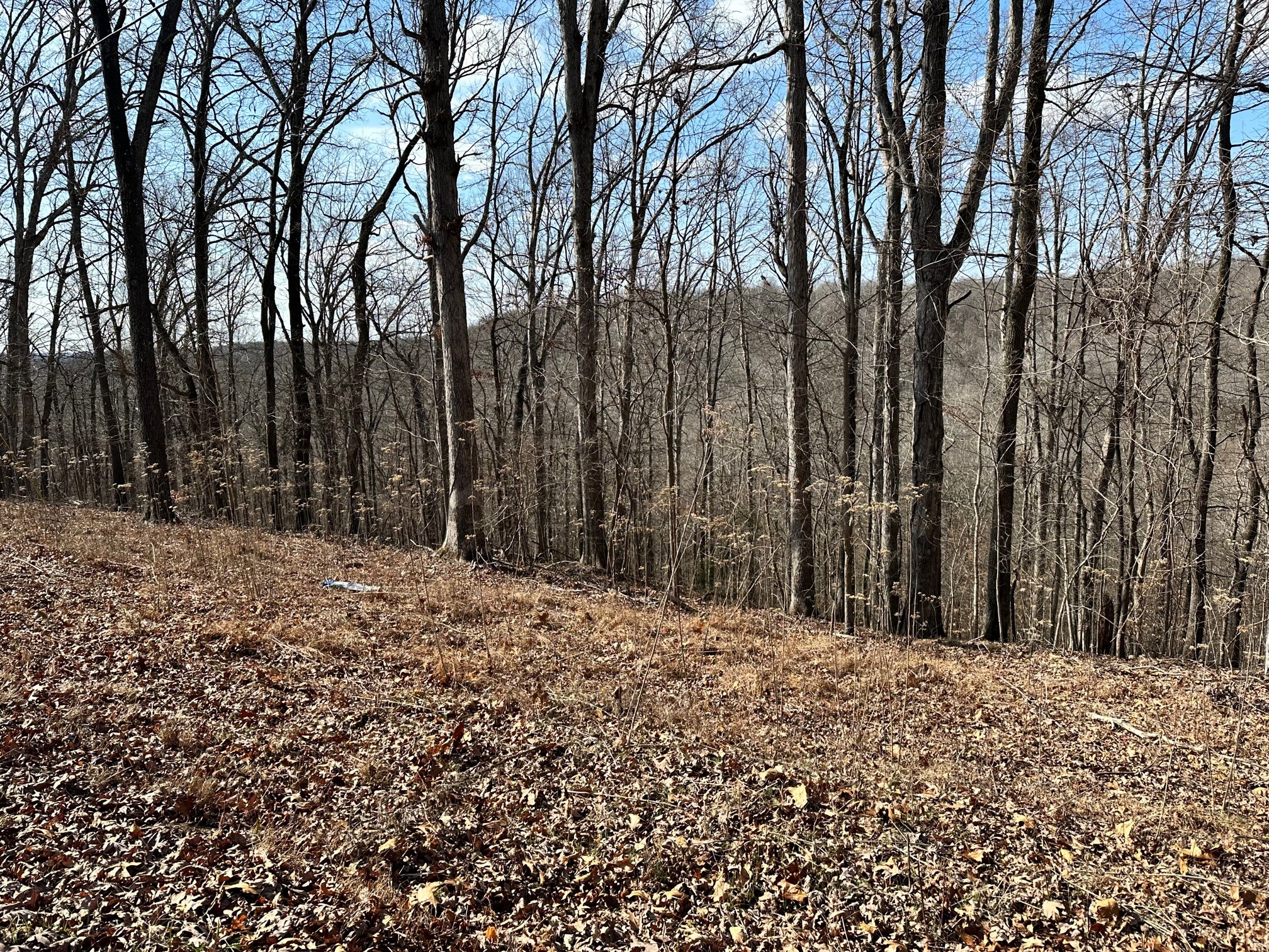 0 Woodland Dr Property Photo 4