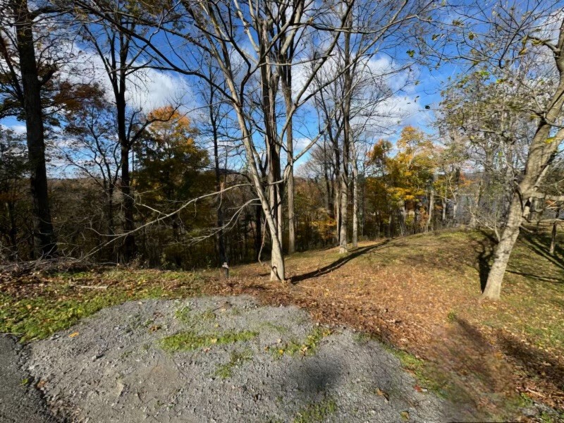 0 Davidson Road Property Photo 2