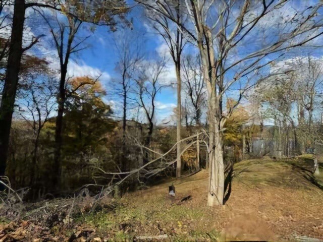 0 Davidson Road Property Photo 3