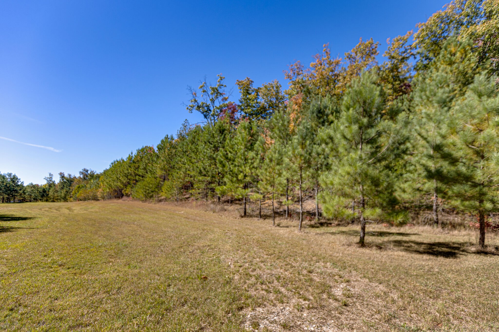 15 Myers Point Rd Property Photo 3