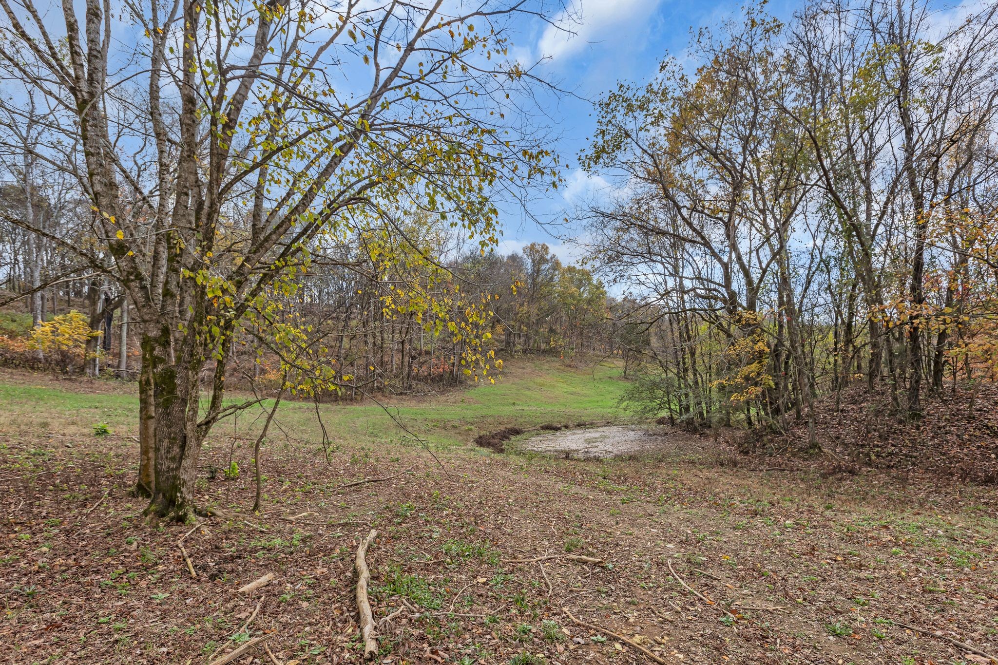 0 Moore Lane Property Photo 3