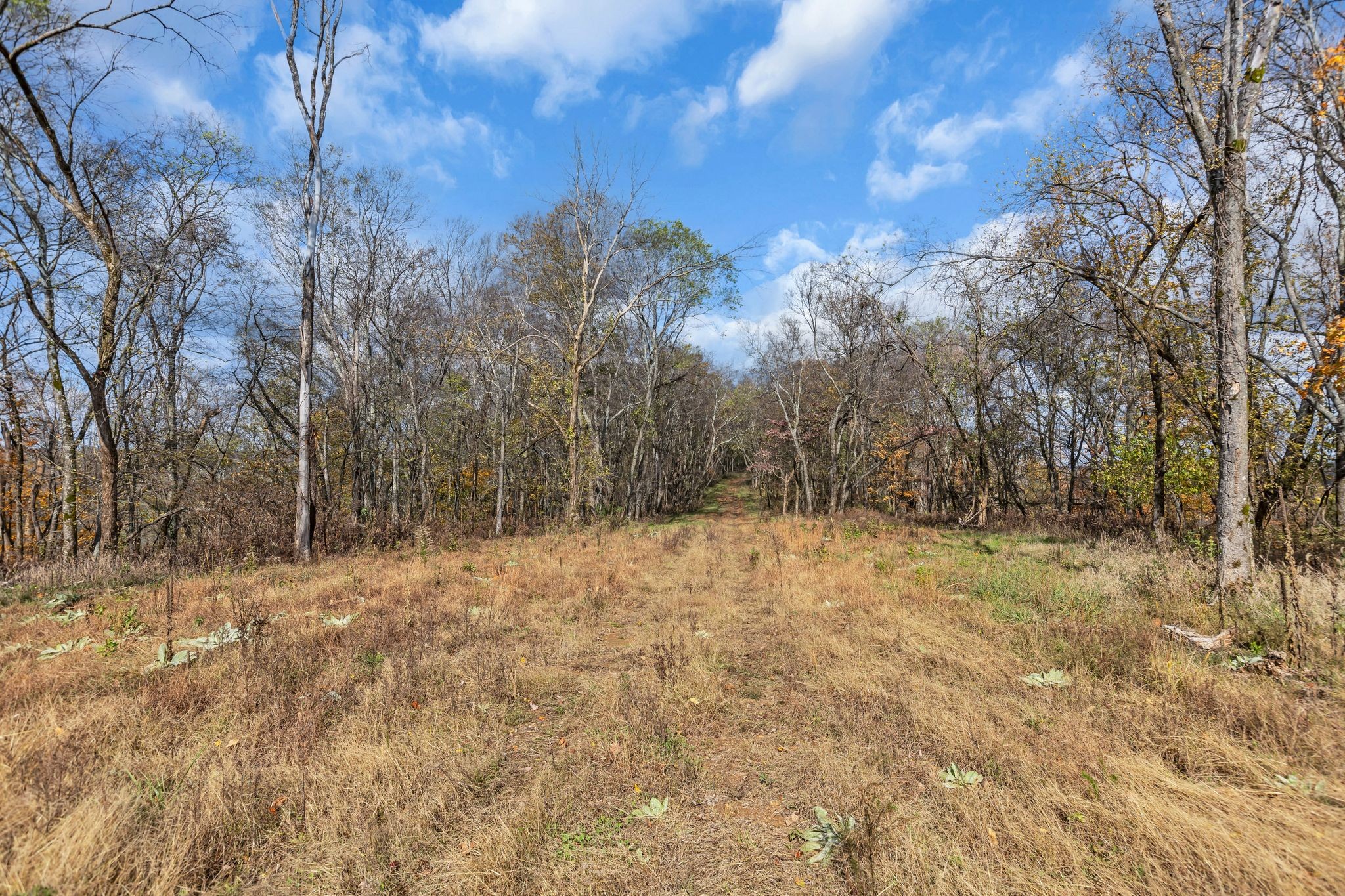 0 Moore Lane Property Photo 11