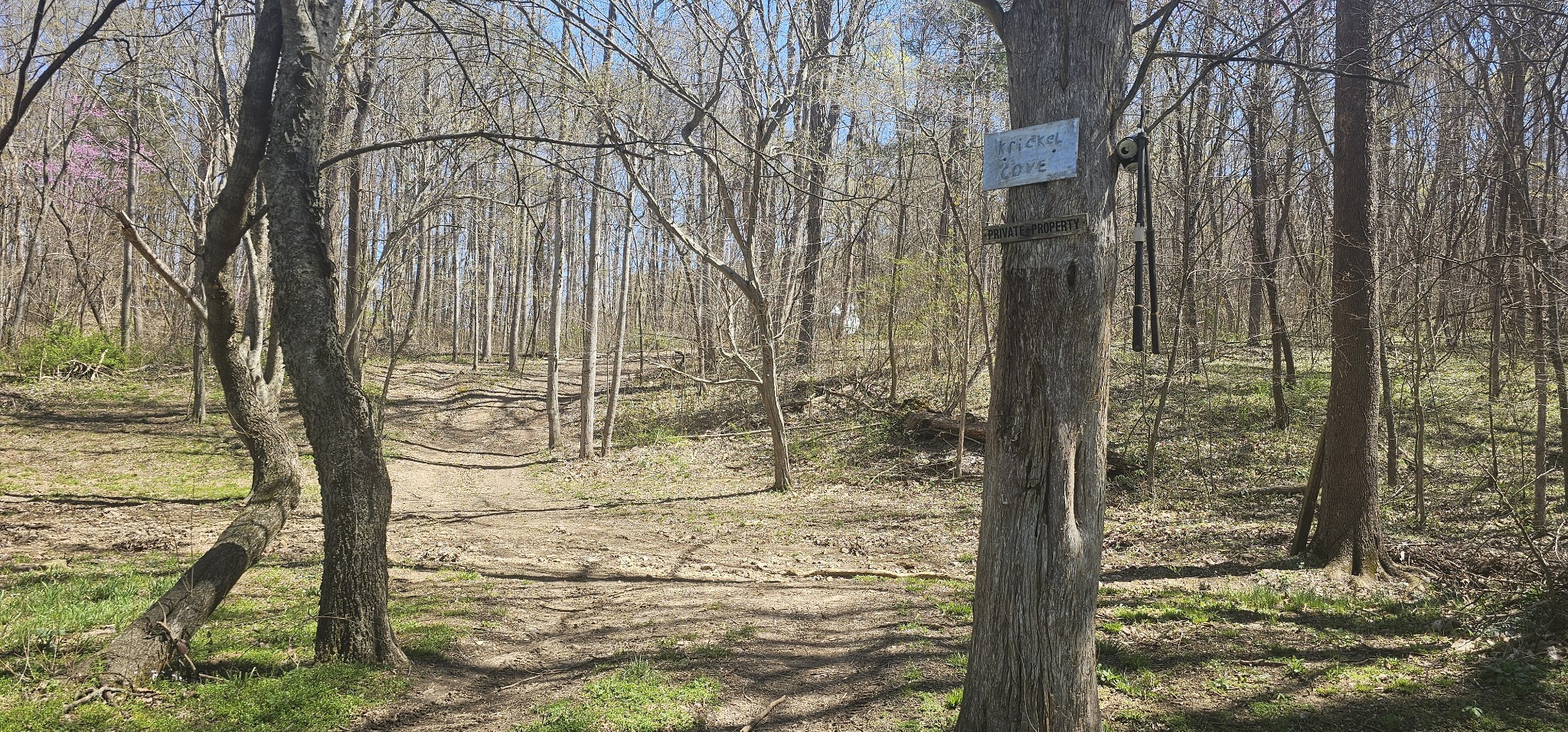 0 Hills Trace Rd Property Photo 7