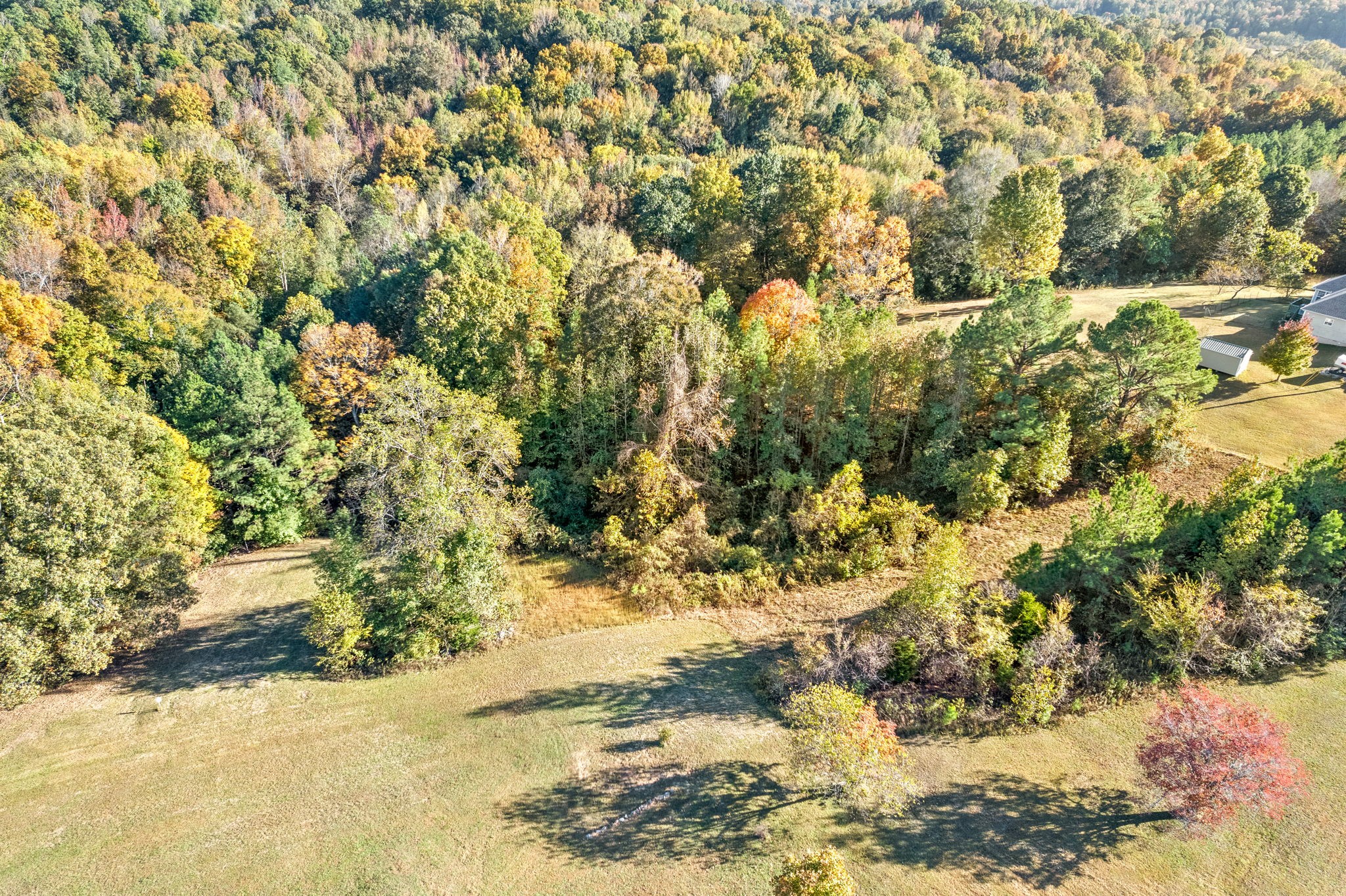 3319 Tarsus Rd Property Photo 28