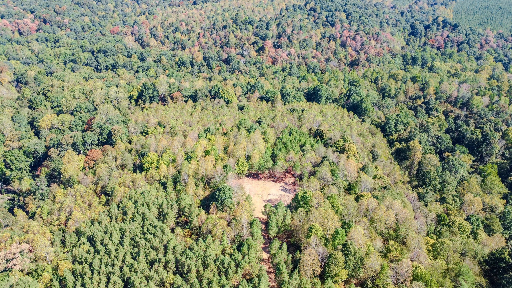 0 Hurricane Road Property Photo 4