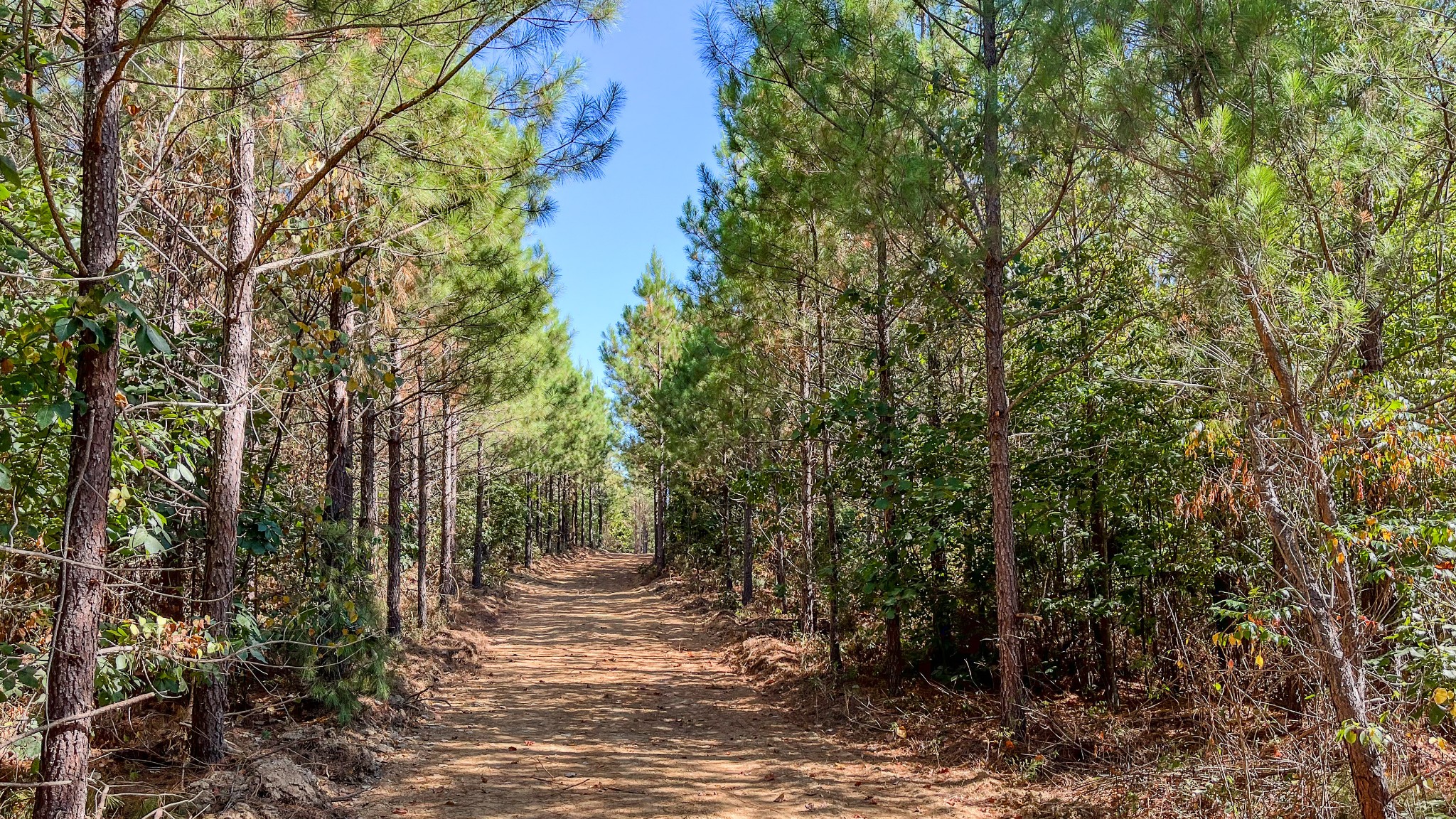 0 Hurricane Road Property Photo 8