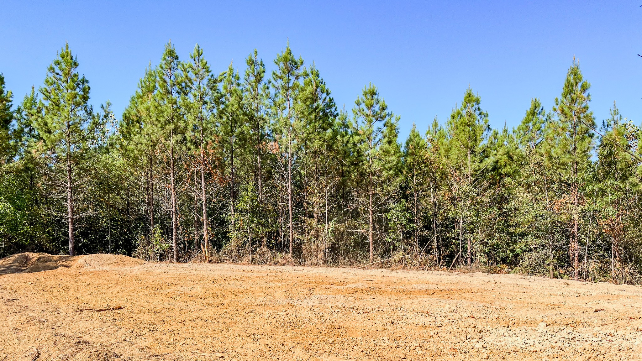 0 Hurricane Road Property Photo 11