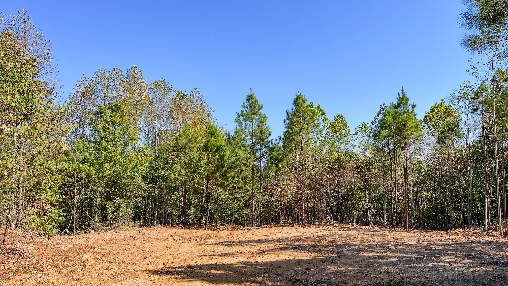 0 Hurricane Road Property Photo 12