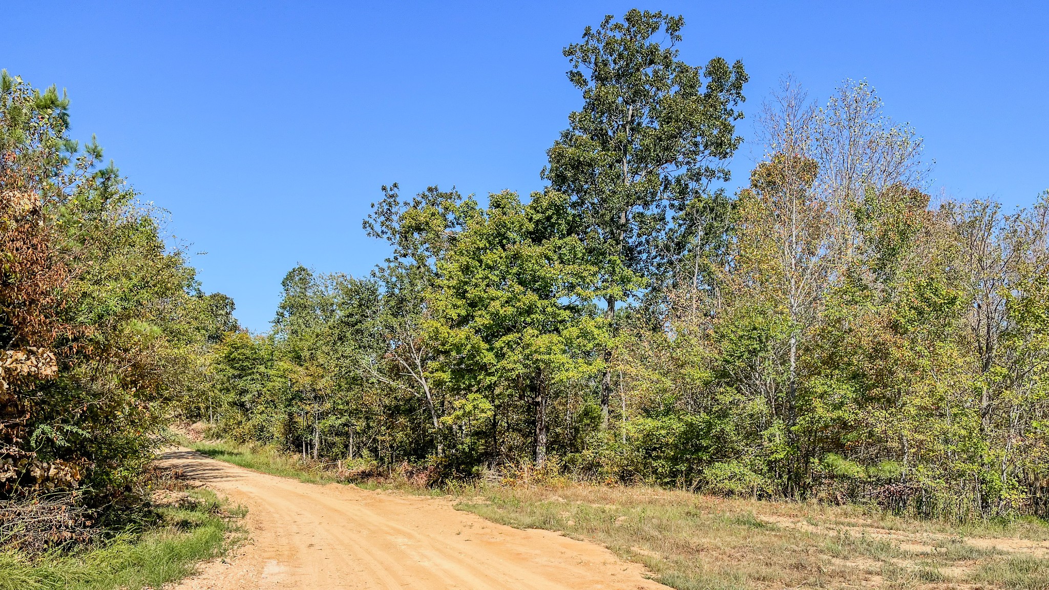 0 Hurricane Road Property Photo 14