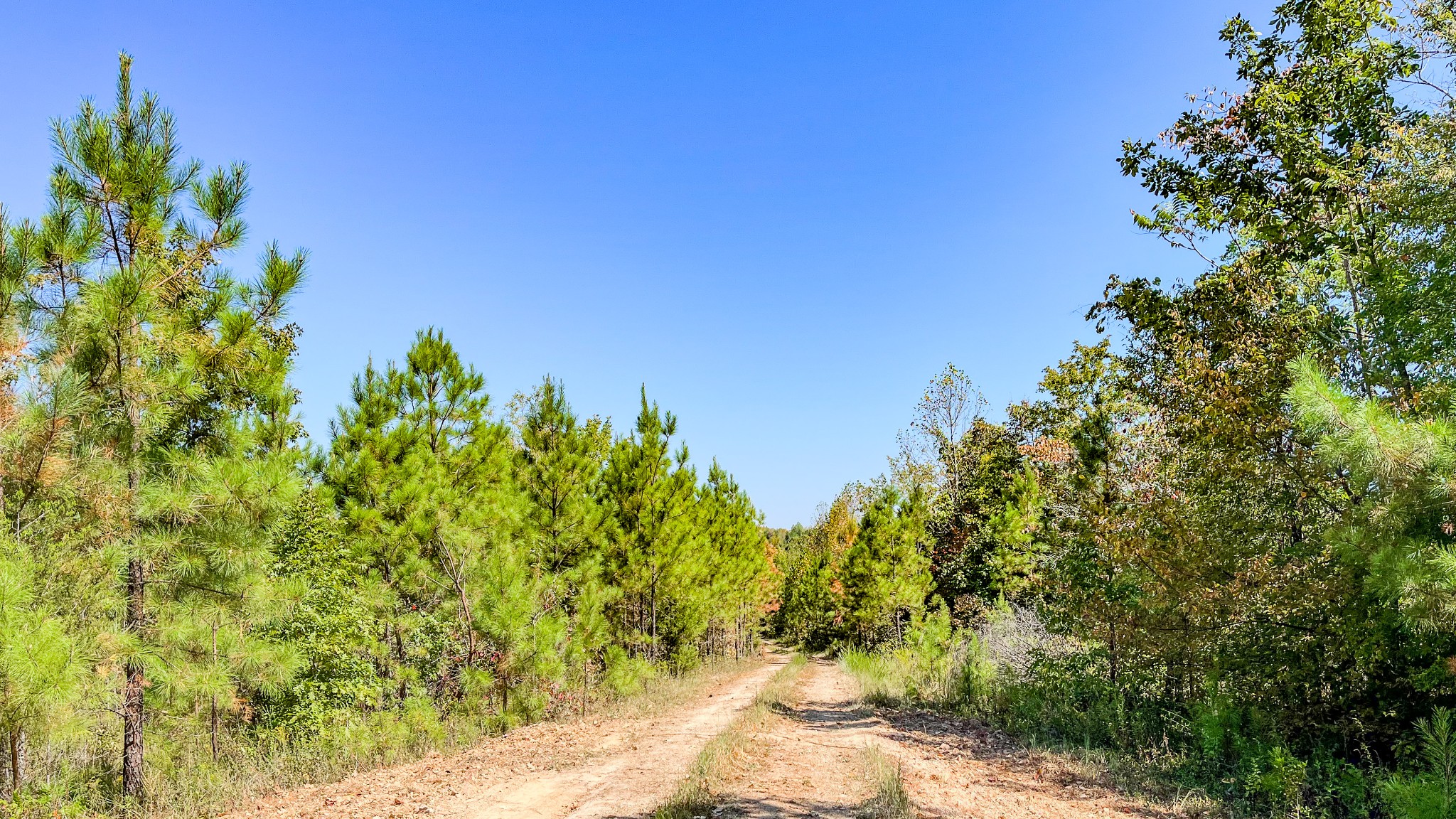 0 Hurricane Road Property Photo 6
