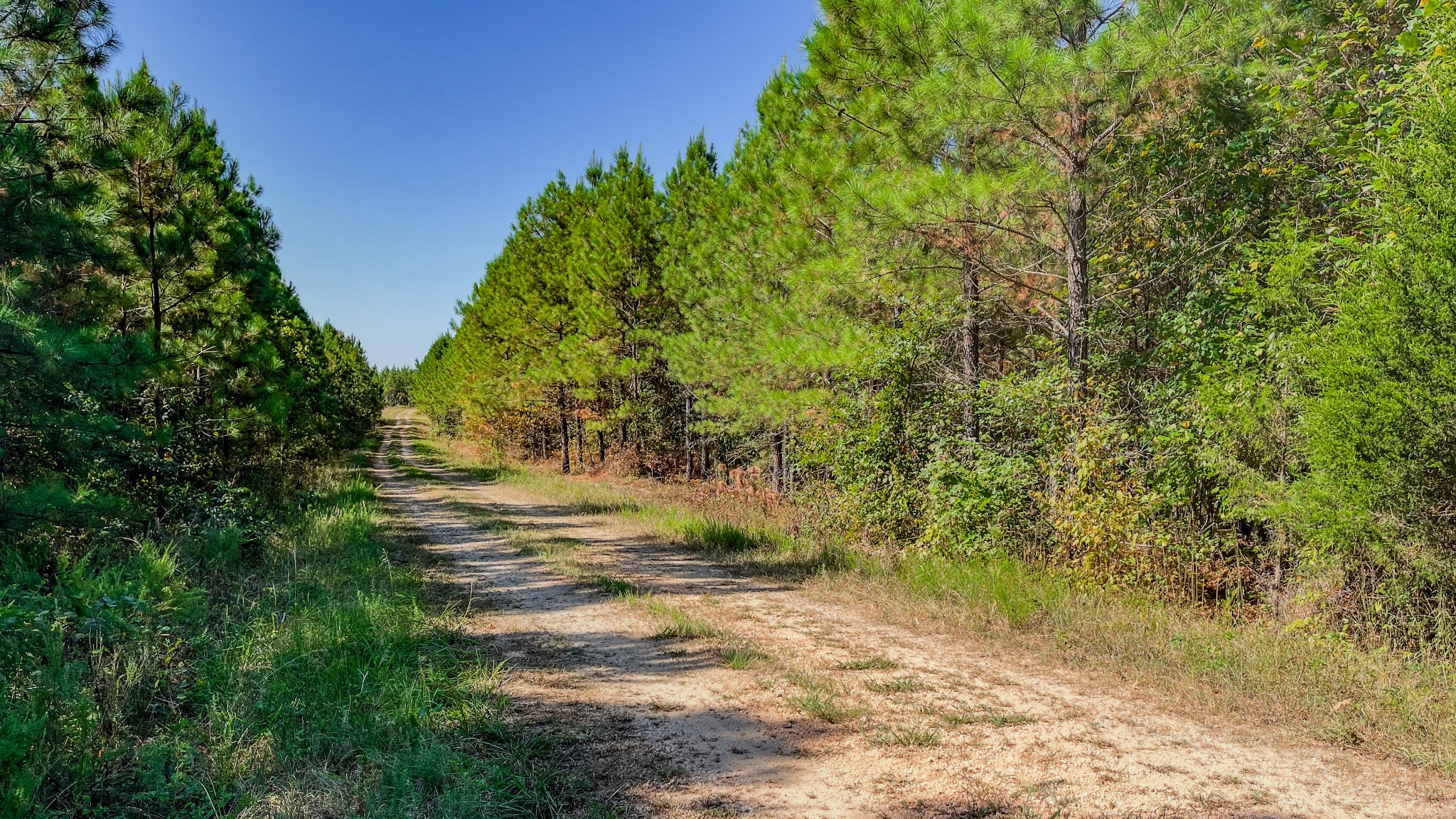 0 Hurricane Road Property Photo 5