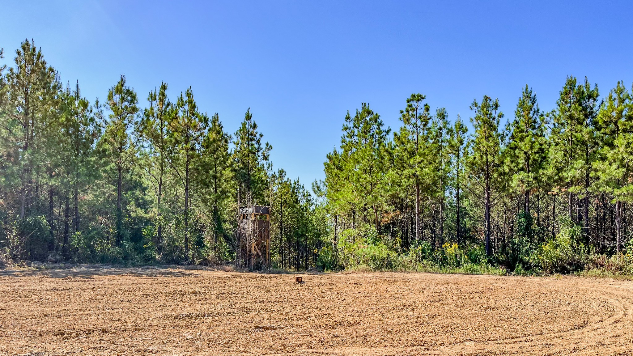 0 Hurricane Road Property Photo 9