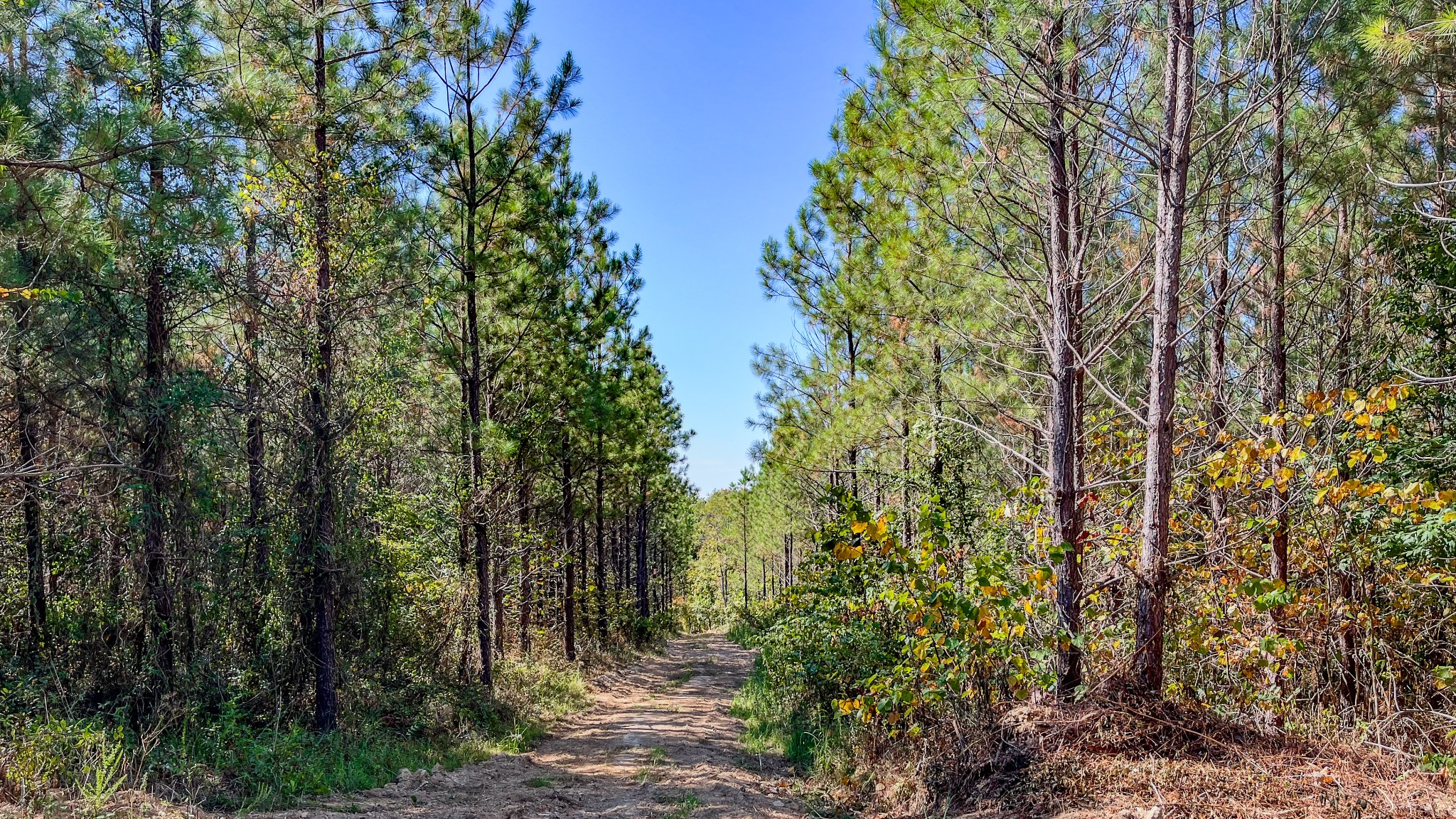 0 Hurricane Road Property Photo 10