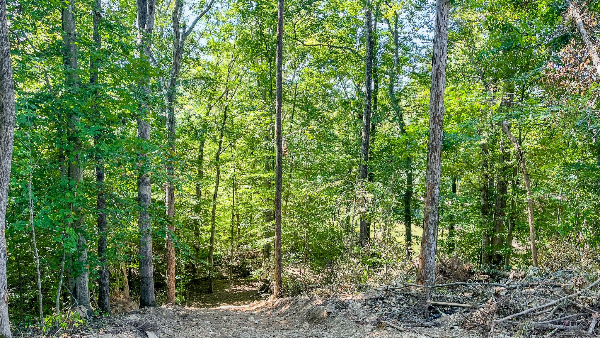 0 Hurricane Road Property Photo 13