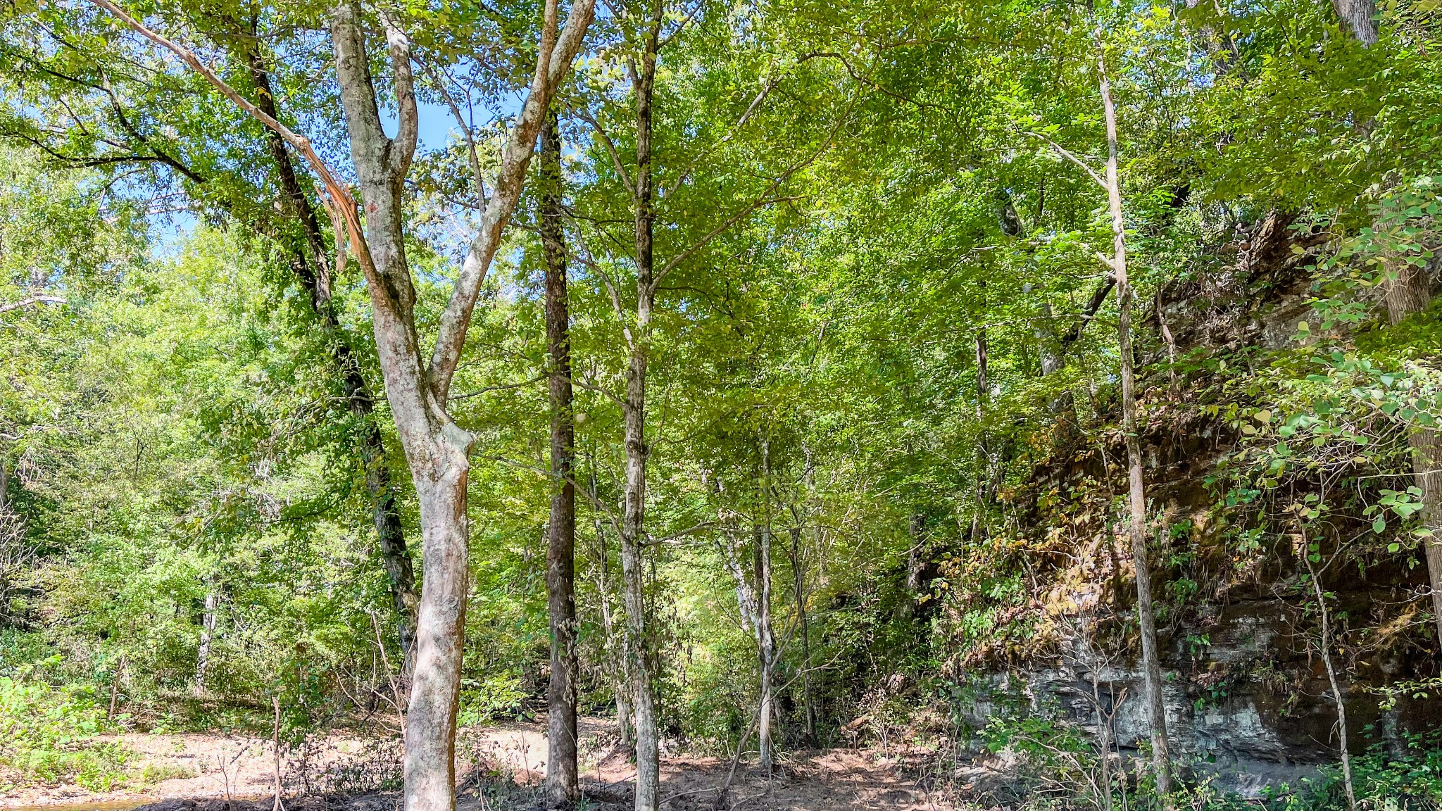 0 Hurricane Road Property Photo 15