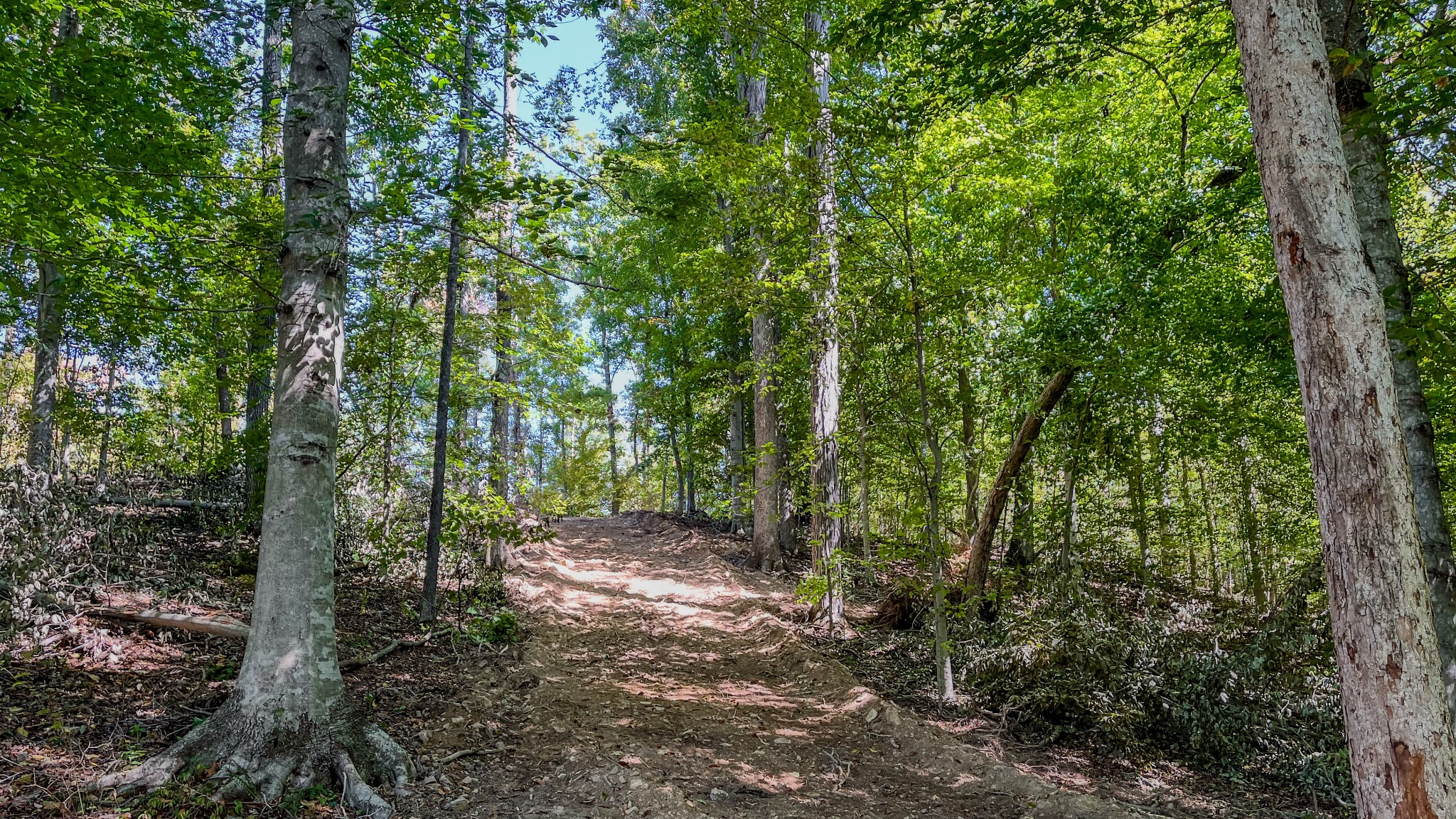 0 Hurricane Road Property Photo 20