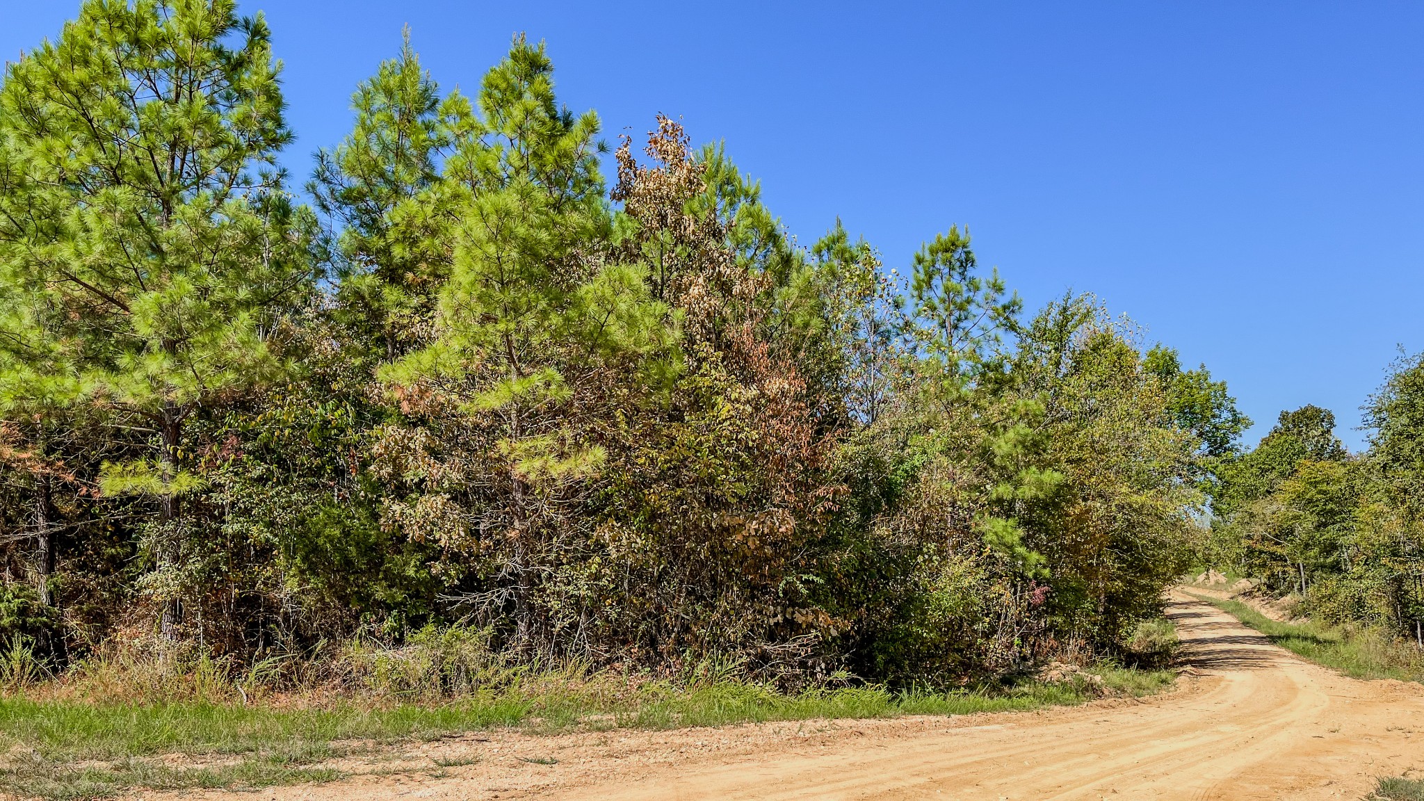 0 Hurricane Road Property Photo 27