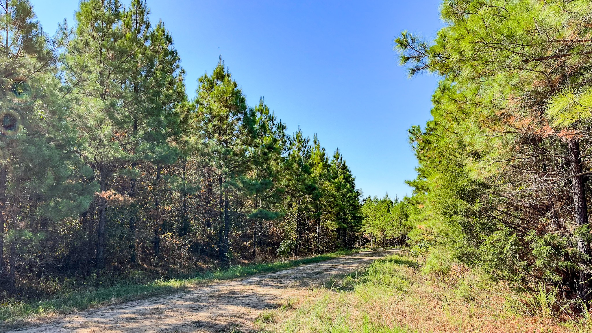 0 Hurricane Road Property Photo 28