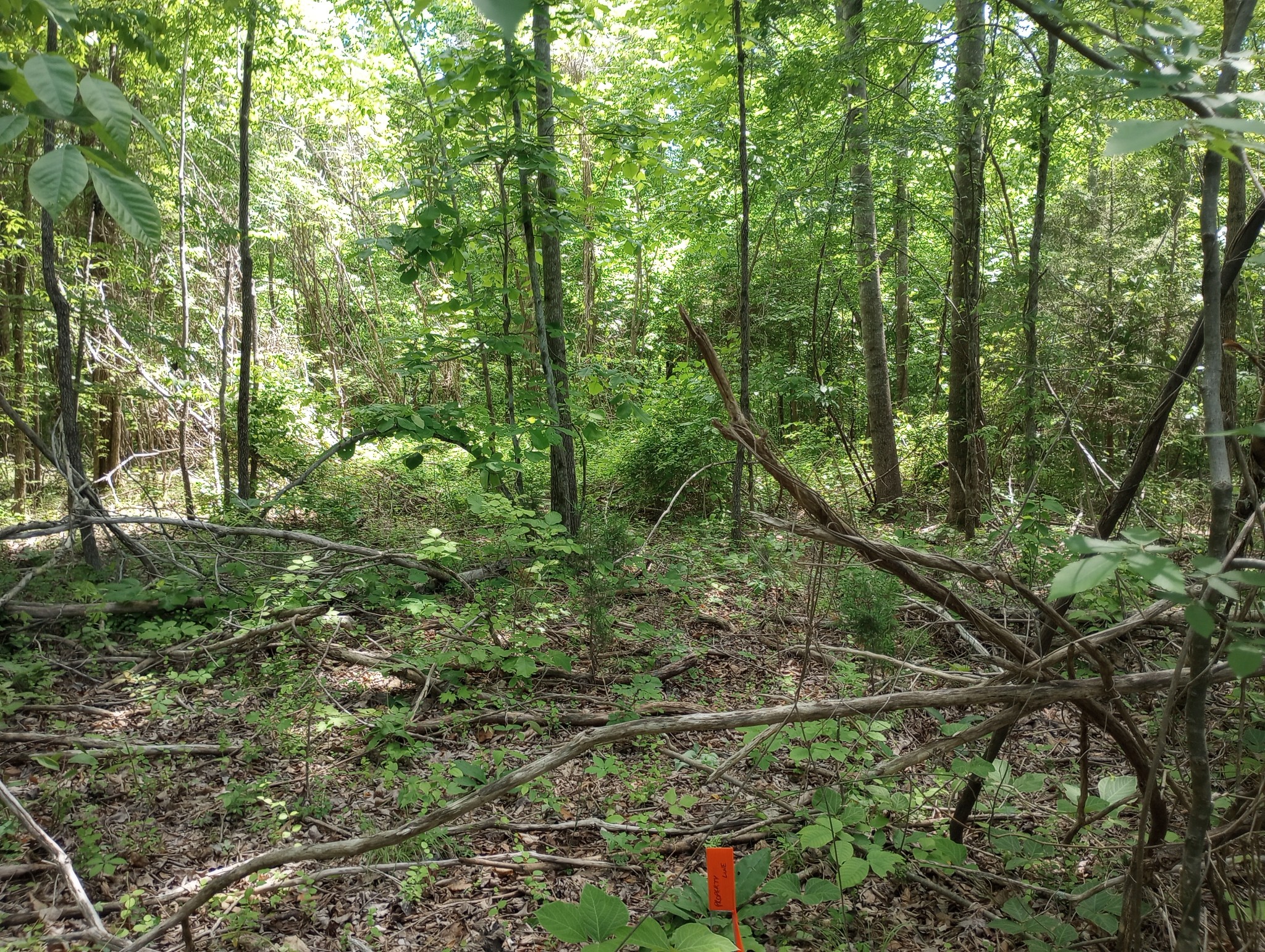 8690 Poplar Creek Rd Property Photo 3