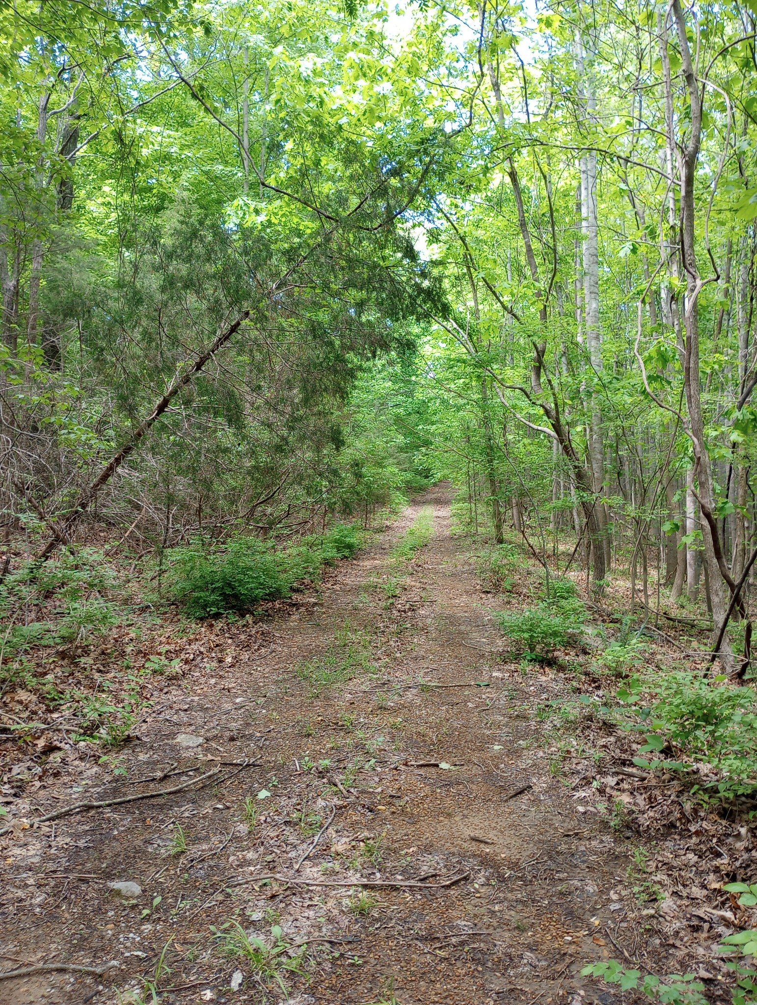 8690 Poplar Creek Rd Property Photo 4