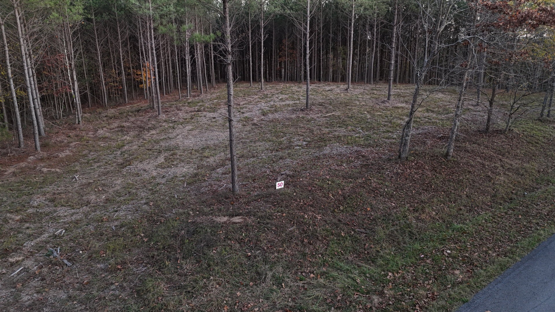 591 Topsy Rd Property Photo 4