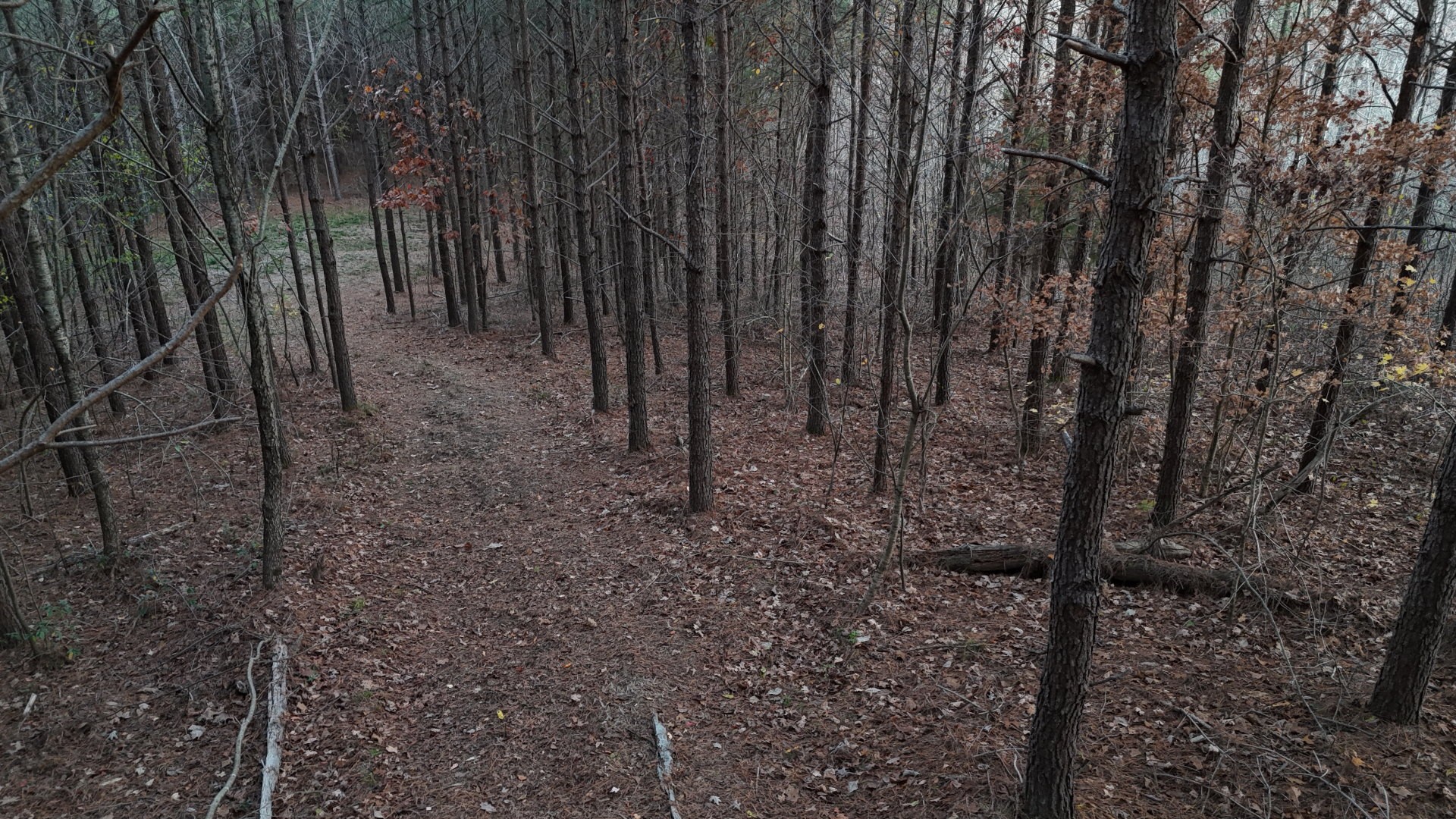 591 Topsy Rd Property Photo 11