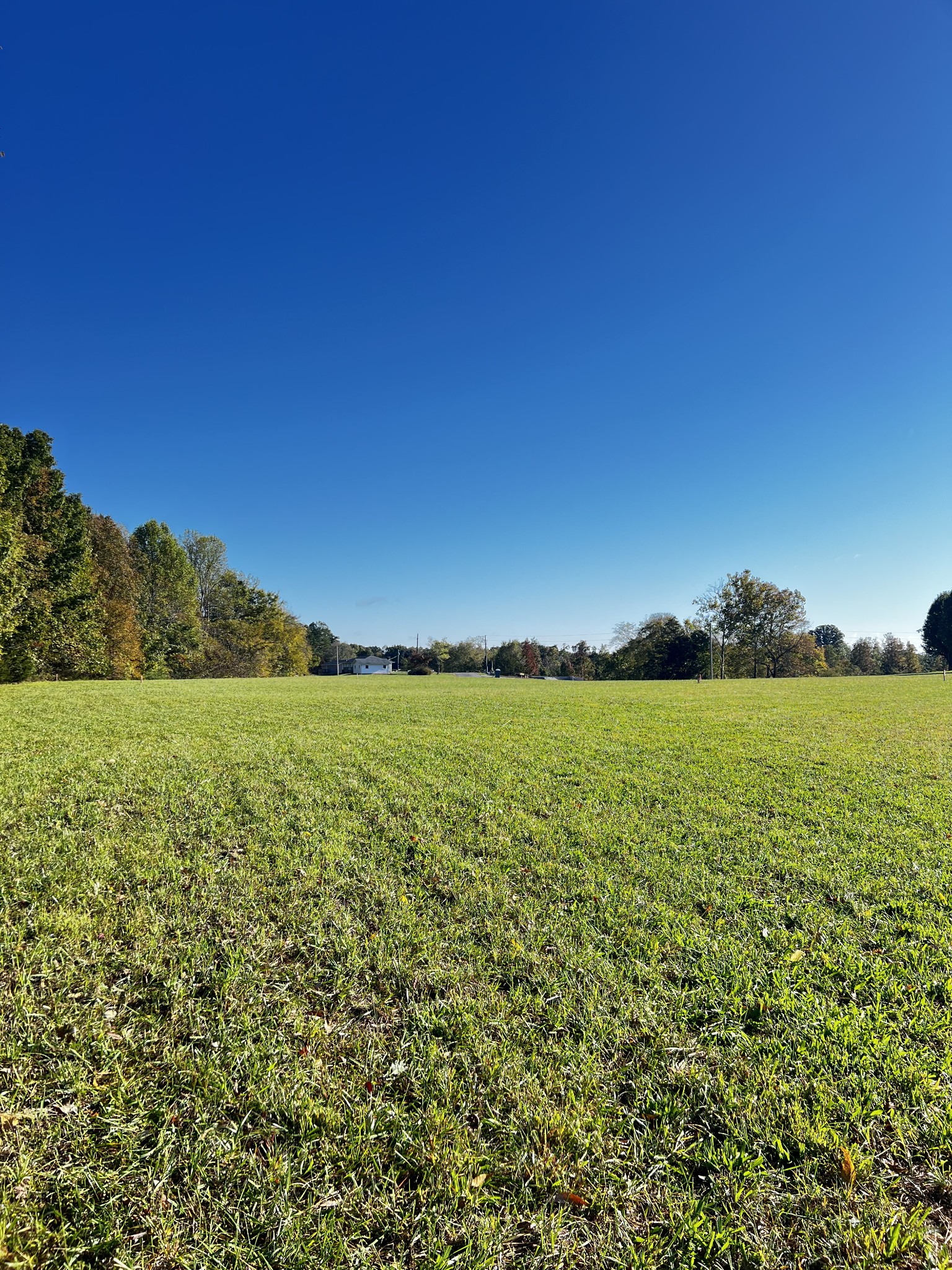 0 Lanis Rd Property Photo 3