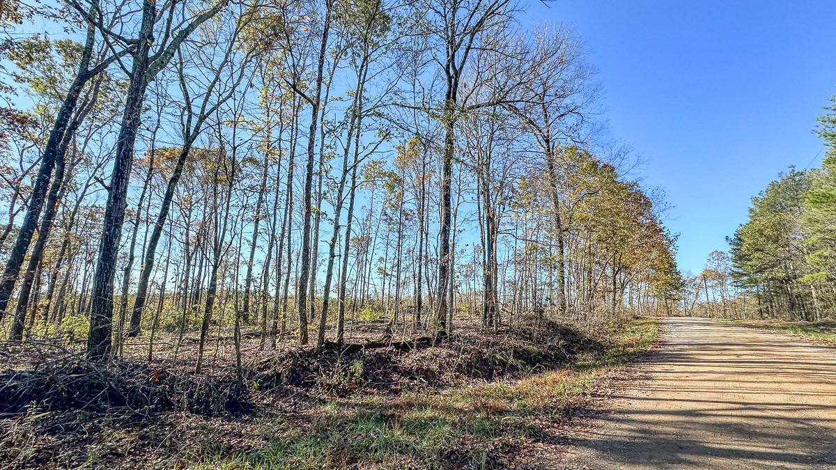 0 Timber Twist Lane Property Photo 8