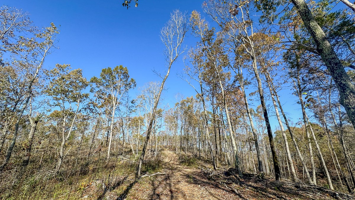 0 Timber Twist Lane Property Photo 11