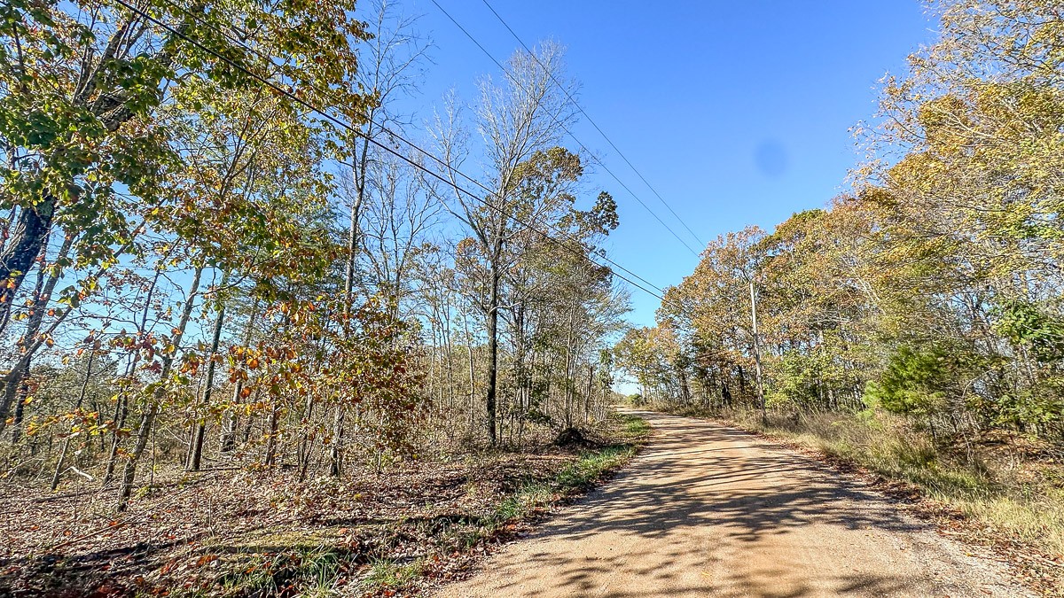 0 Timber Twist Lane Property Photo 15