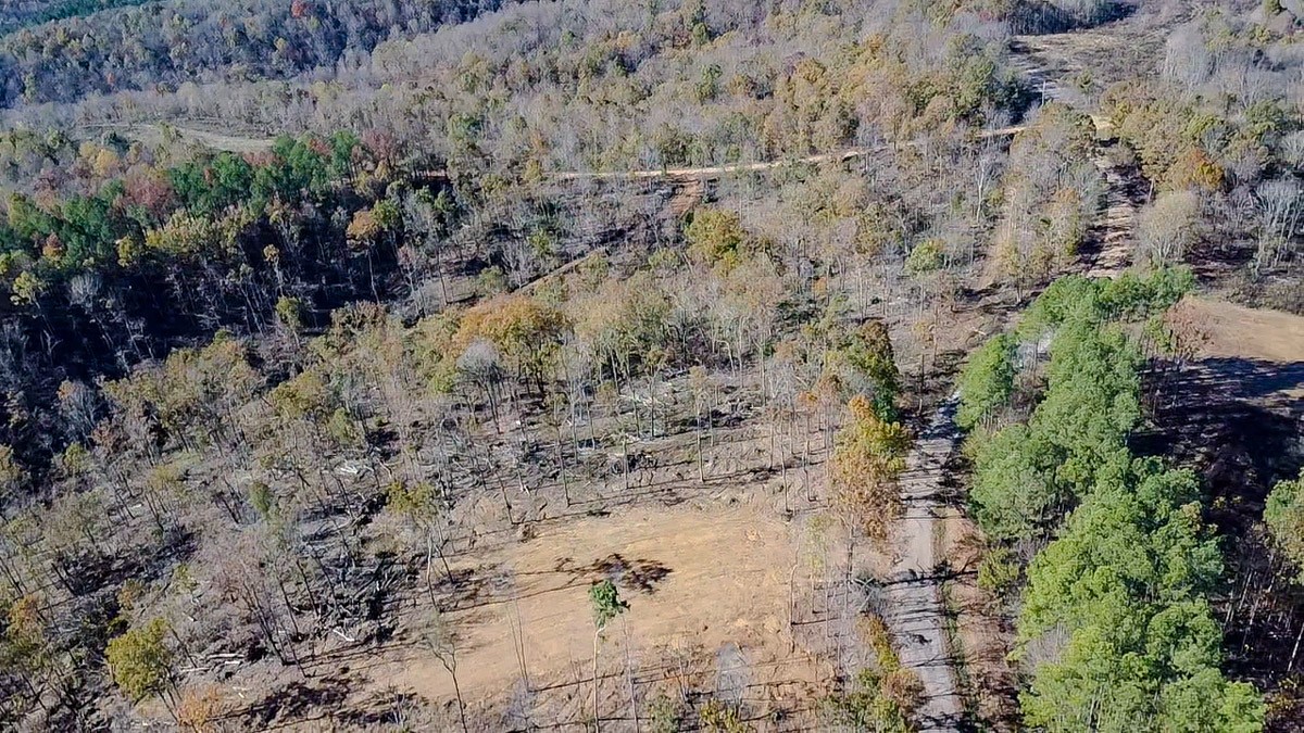 0 Timber Twist Lane Property Photo 17
