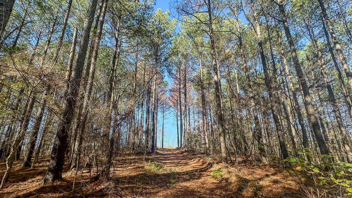 0 Timber Twist Lane Property Photo 8