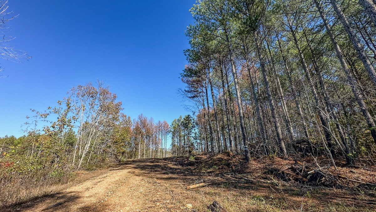 0 Timber Twist Lane Property Photo 11